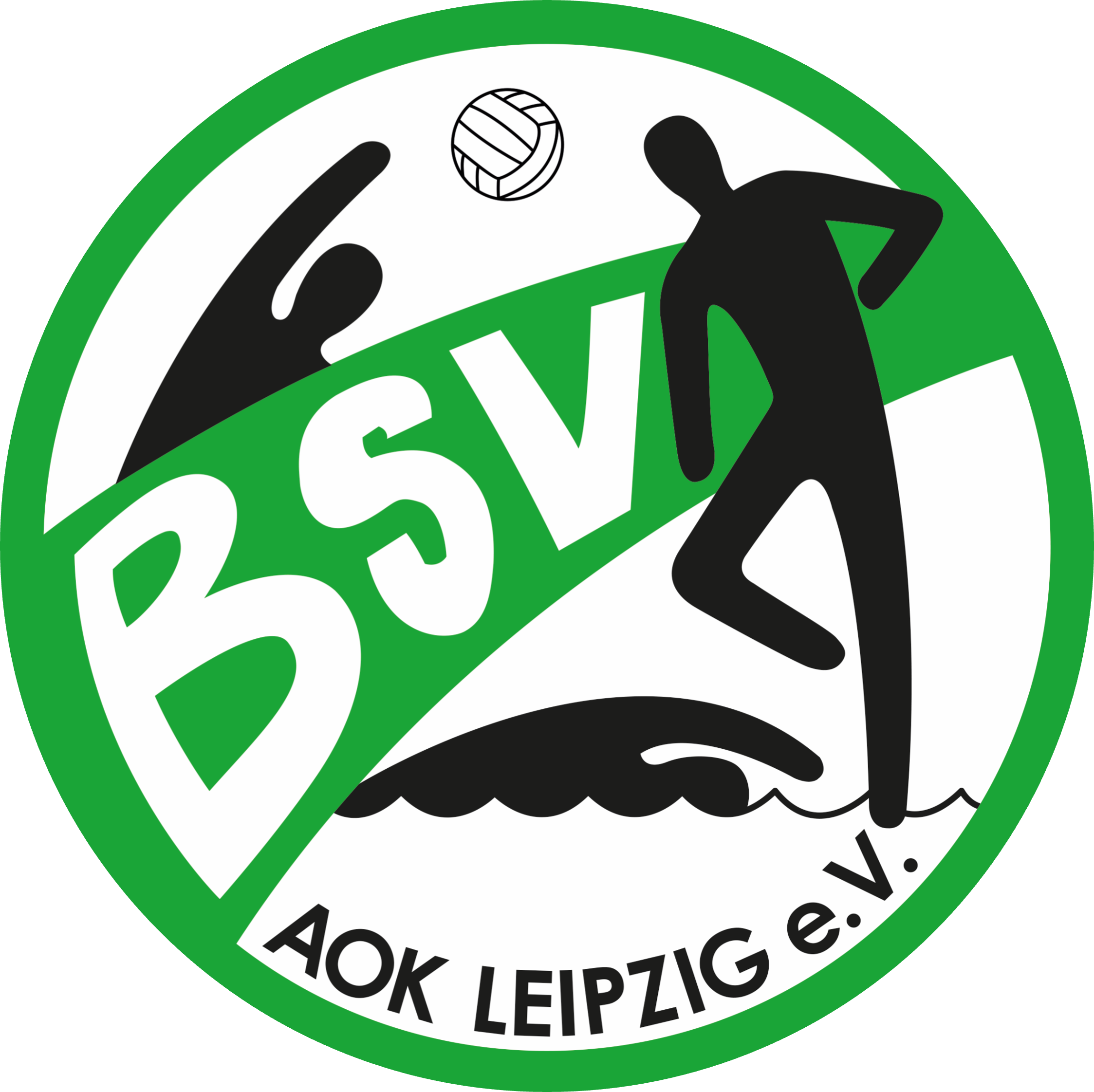 BSV Logo rund weiss